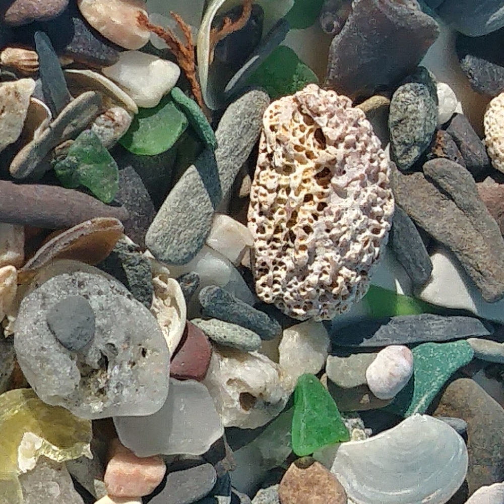 Beach Treasure Jar